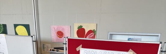 Gut beraten in die Oberstufe